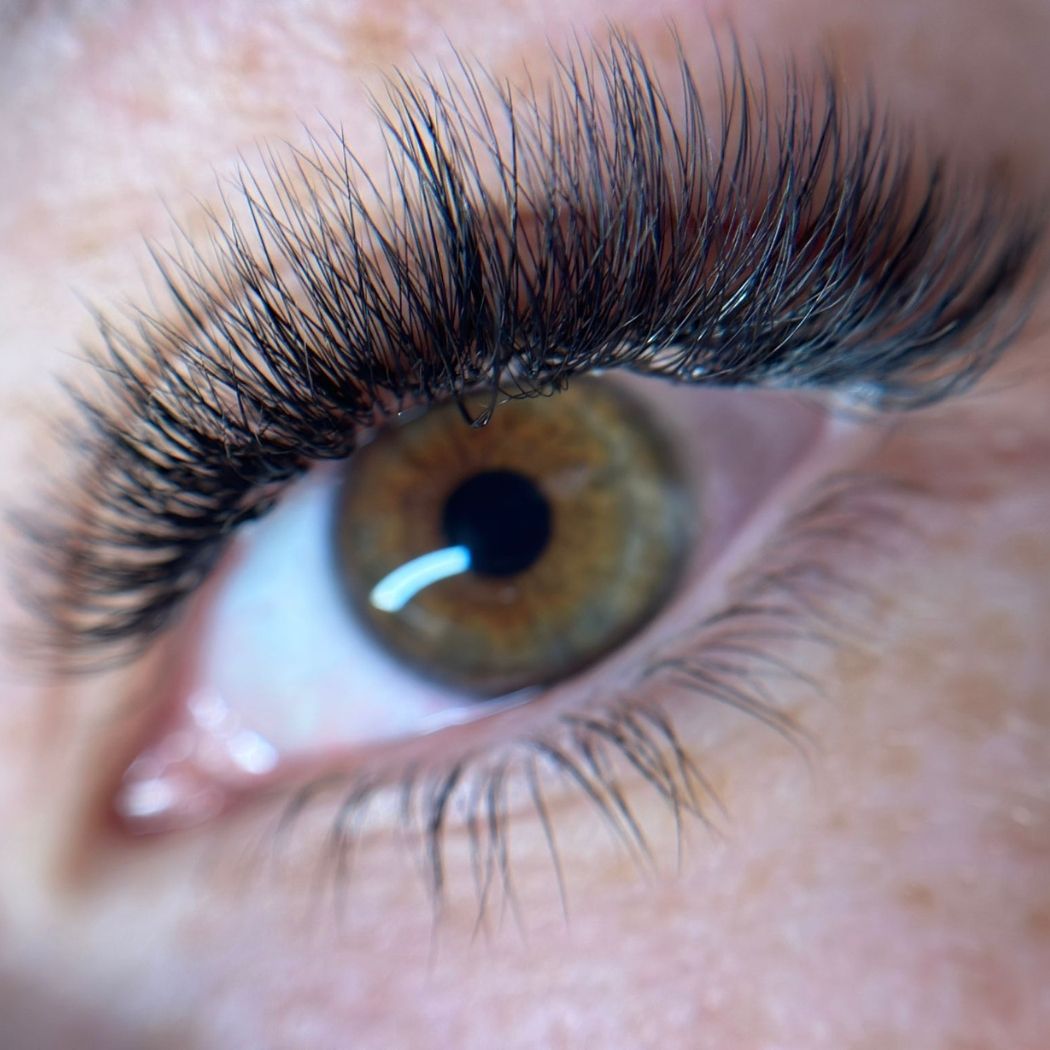 Untitled design - 2026-01-19T184234.376